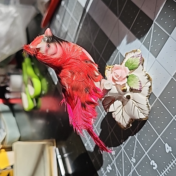 Red 🪭 CARDINAL bird 🌹 - Picture 9 of 10